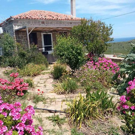 Cozy House With Amazing Sea View Apartment Kaminia  ภายนอก รูปภาพ